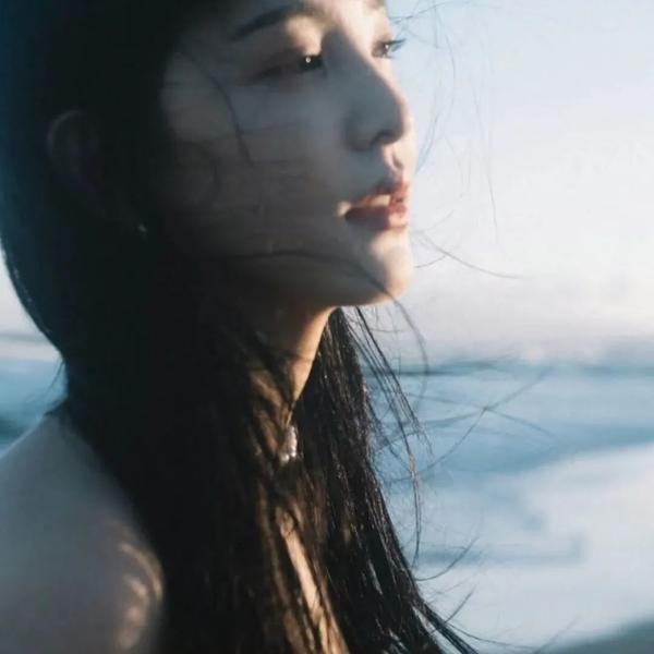 但丁之手 海报