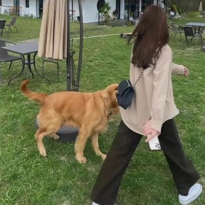 巫毒少女 海报